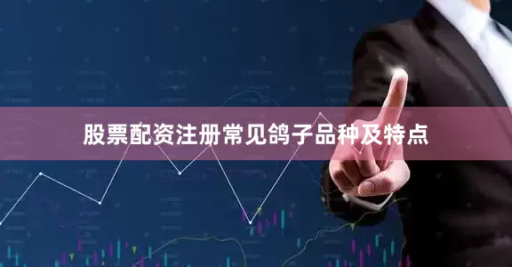 股票配资注册常见鸽子品种及特点