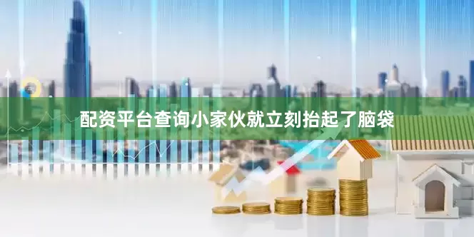 配资平台查询小家伙就立刻抬起了脑袋