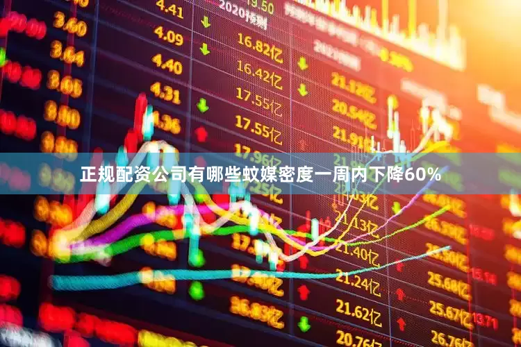 正规配资公司有哪些蚊媒密度一周内下降60%