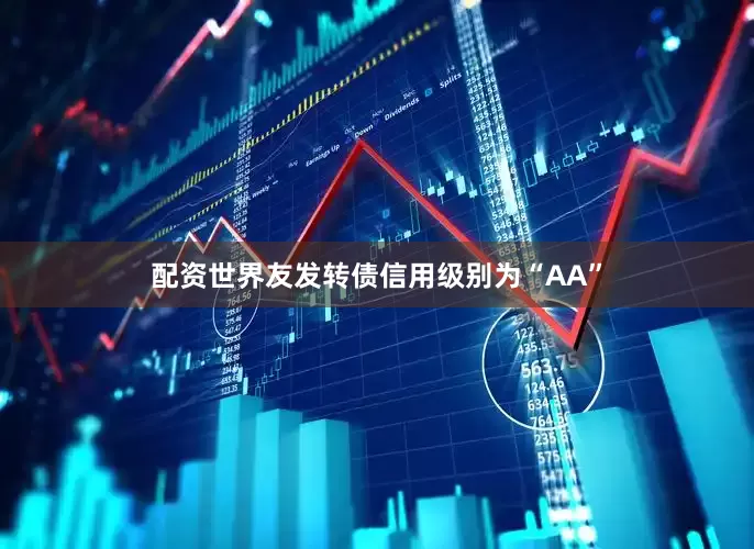 配资世界友发转债信用级别为“AA”